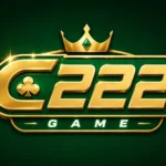 C222 game logo